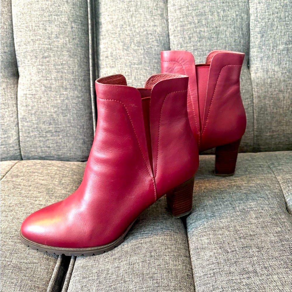 Le Saunda Chic Burgundy Ankle Boots